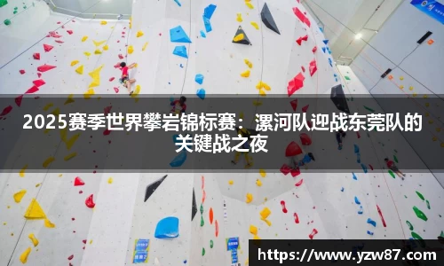 2025赛季世界攀岩锦标赛：漯河队迎战东莞队的关键战之夜